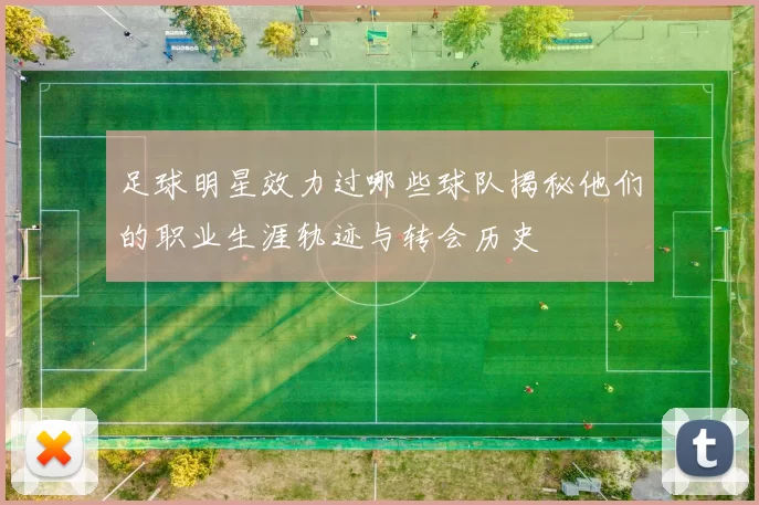 足球明星效力过哪些球队揭秘他们的职业生涯轨迹与转会历史