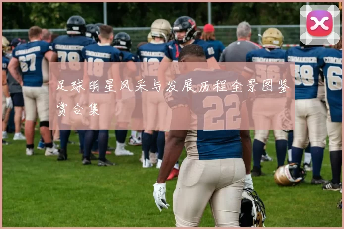 足球明星风采与发展历程全景图鉴赏合集