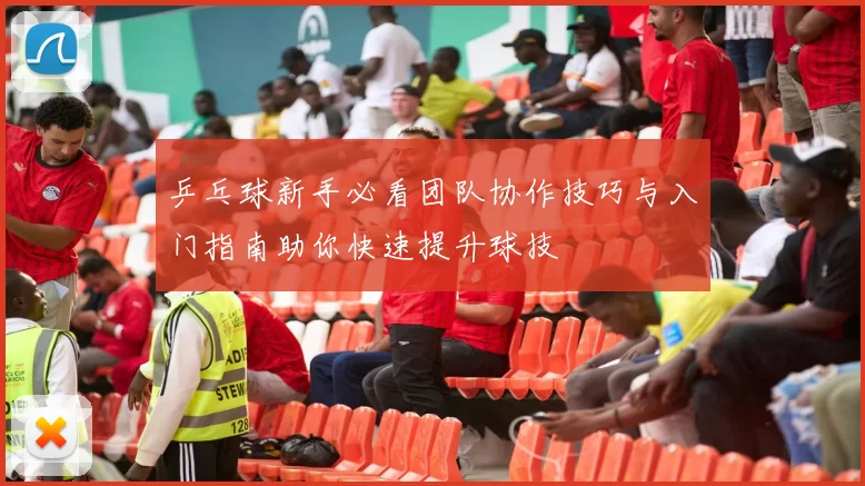 乒乓球新手必看团队协作技巧与入门指南助你快速提升球技