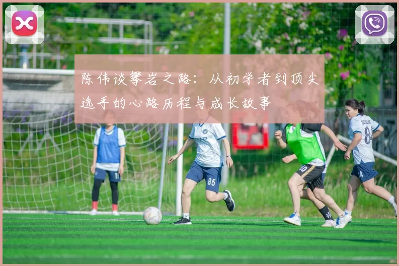 陈伟谈攀岩之路：从初学者到顶尖选手的心路历程与成长故事