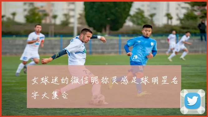 女球迷的微信昵称灵感足球明星名字大集合