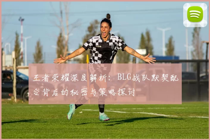 王者荣耀深度解析：BLG战队默契配合背后的秘密与策略探讨