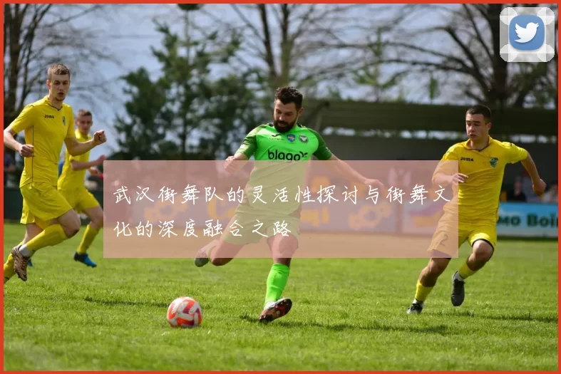 武汉街舞队的灵活性探讨与街舞文化的深度融合之路