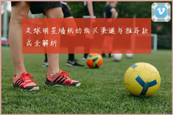 足球明星墙纸的购买渠道与推荐款式全解析