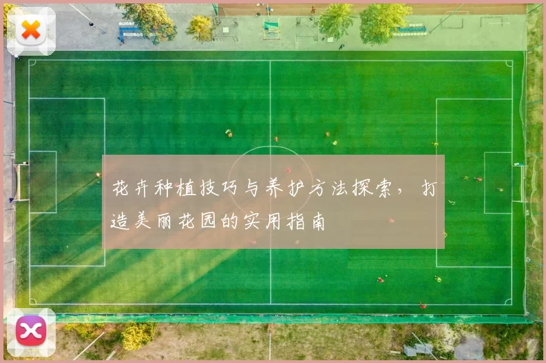 花卉种植技巧与养护方法探索，打造美丽花园的实用指南