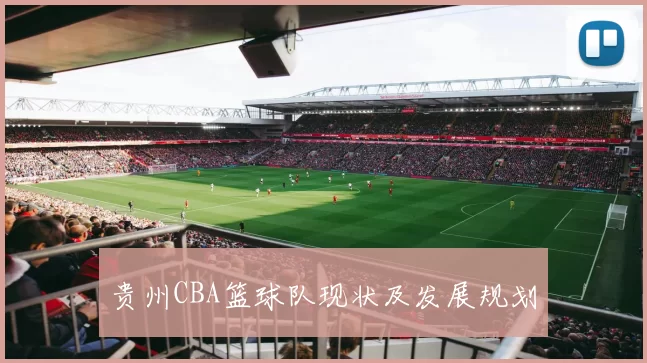 贵州CBA篮球队现状及发展规划