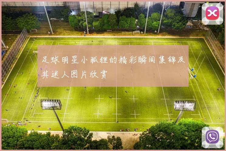 足球明星小狐狸的精彩瞬间集锦及其迷人图片欣赏