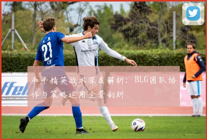 和平精英战术深度解析：BLG团队协作与策略运用全景剖析