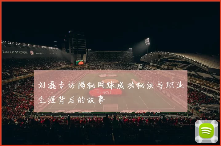 刘磊专访揭秘网球成功秘诀与职业生涯背后的故事