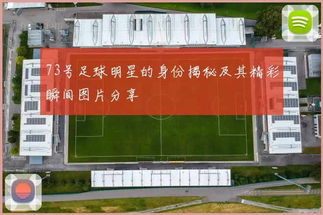 73号足球明星的身份揭秘及其精彩瞬间图片分享