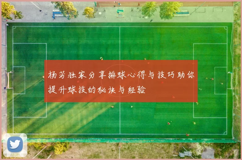 杨芳独家分享排球心得与技巧助你提升球技的秘诀与经验