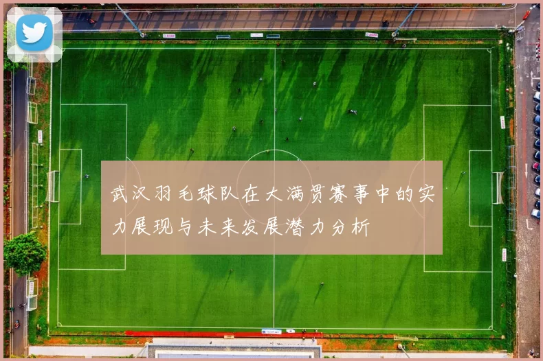 武汉羽毛球队在大满贯赛事中的实力展现与未来发展潜力分析