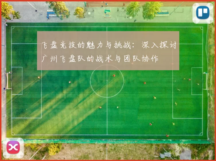 飞盘竞技的魅力与挑战：深入探讨广州飞盘队的战术与团队协作