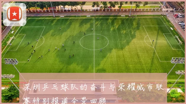 深圳乒乓球队的奋斗与荣耀城市联赛特别报道全景回顾