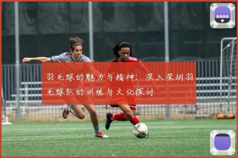 羽毛球的魅力与精神：深入深圳羽毛球队的训练与文化探讨