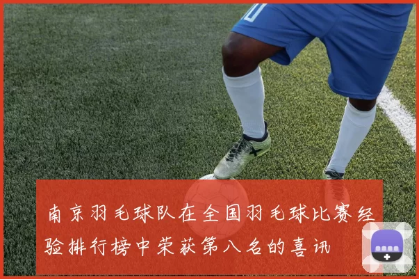 南京羽毛球队在全国羽毛球比赛经验排行榜中荣获第八名的喜讯
