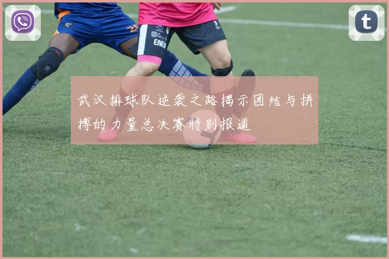 武汉排球队逆袭之路揭示团结与拼搏的力量总决赛特别报道