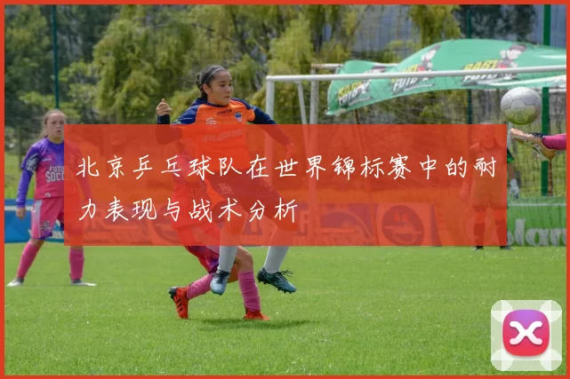 北京乒乓球队在世界锦标赛中的耐力表现与战术分析