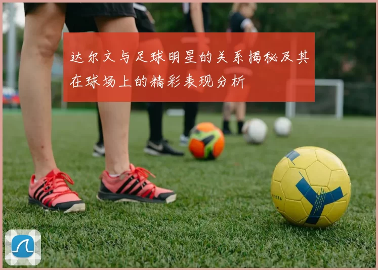 达尔文与足球明星的关系揭秘及其在球场上的精彩表现分析