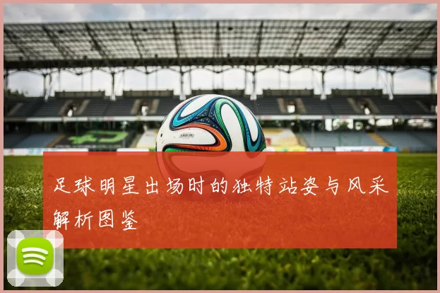 足球明星出场时的独特站姿与风采解析图鉴