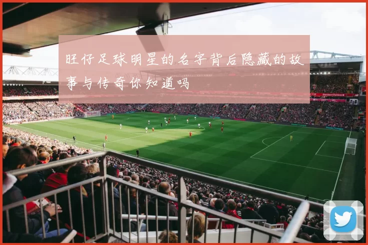 旺仔足球明星的名字背后隐藏的故事与传奇你知道吗