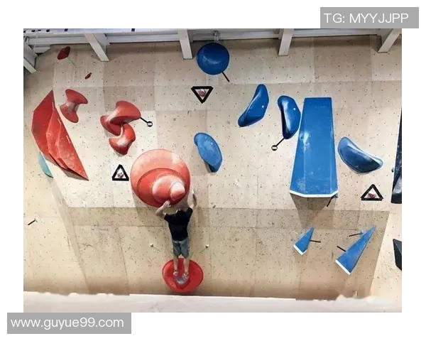 南京攀岩队心理素质深度对比及其对竞技表现的影响分析