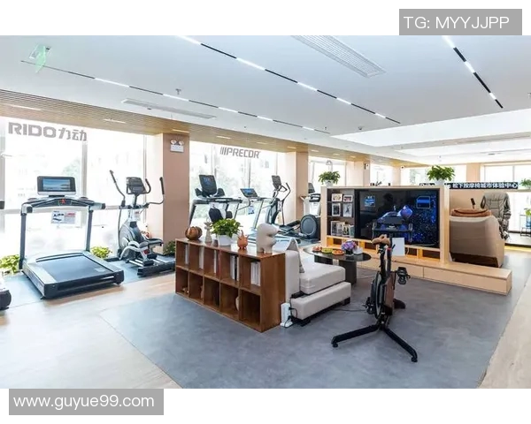 运动健身器材批发：运动健身器材批发市场的趋势与商机