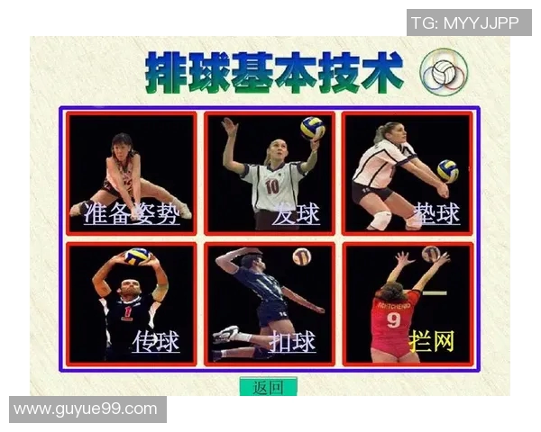 西安排球队节奏的奥秘与排球战术深度解析